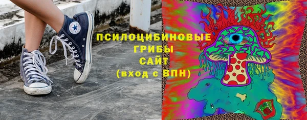 ALPHA PVP Богородицк
