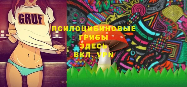 амф Богданович