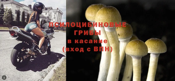 эйфоретик Богородск