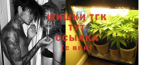 амф Богданович
