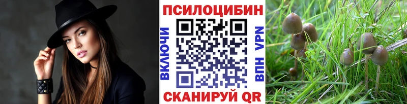 Псилоцибиновые грибы Psilocybine cubensis  Курган 