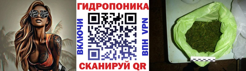 Бошки Шишки план  Курган 